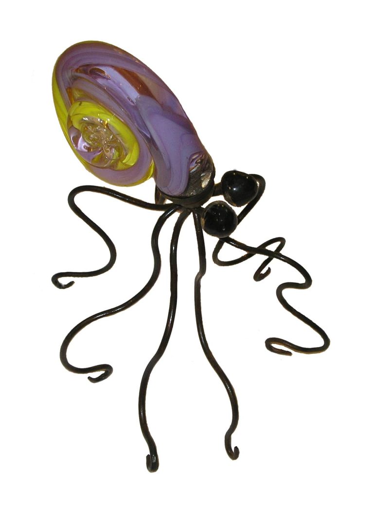 Nautilus  20319
